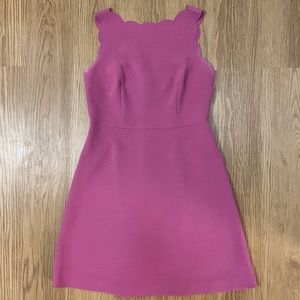 LOFT Pink Scalloped Edge A-Line Dress